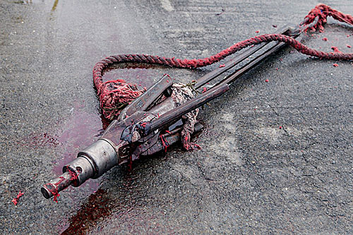 Detonated grenade tipped whaling harpoon after being removed from a fin whale