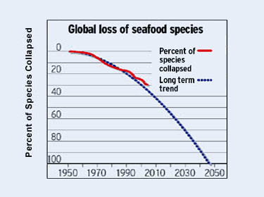 Graph of the accelerating loss of ocean species threatening human well-being