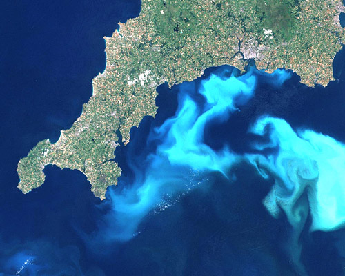 Phytoplankton bloom as seen from space