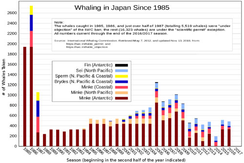 Graph of whaling in Japan since 1975. Whales killed - versus - year