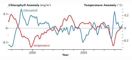 Graph of chlorophyll anomaly versus temperature
