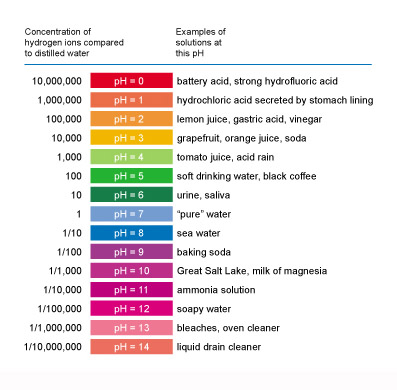 pH table of some common liquids