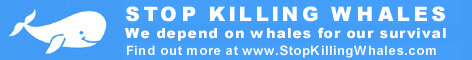 Banner. Stop killing whales banner - small