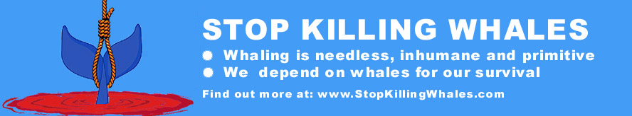 Stop killing whales banner - large