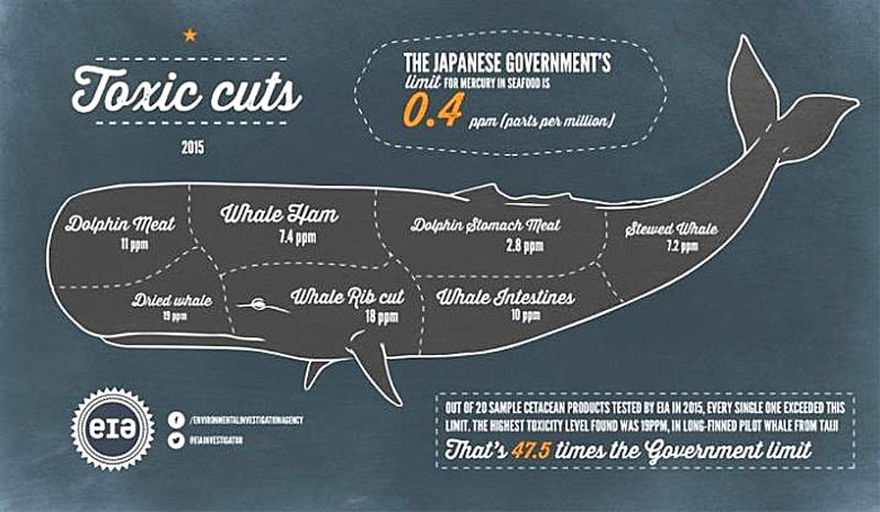 Toxic whale cuts